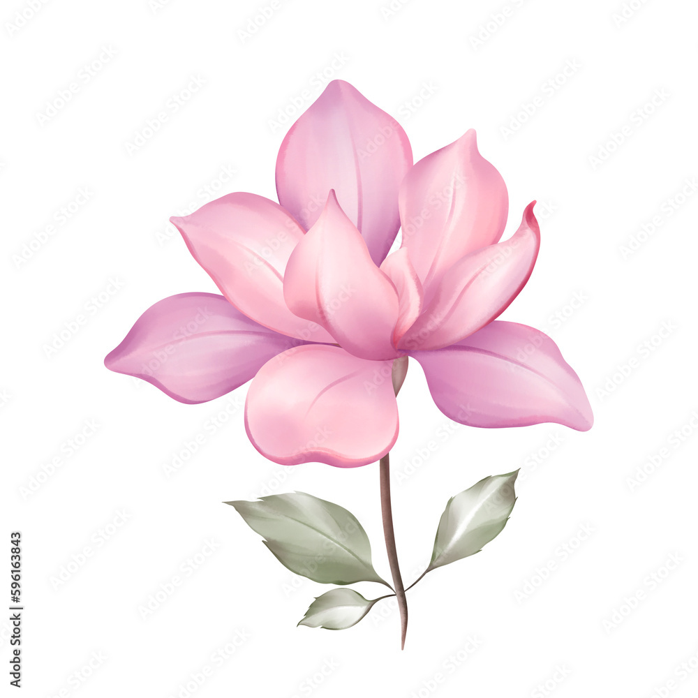 Fototapeta premium pink lotus flower