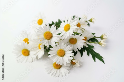 Daisy bouquet with leaves isolated on white. Flat lay with copy space. Generative AI