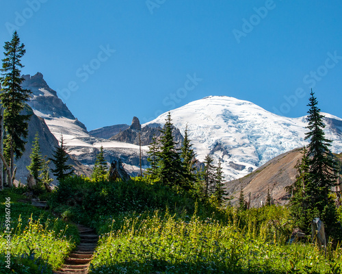 Hiking trail leading to Summerland  Mount Rainier National Park  with Emmons Glacier in background