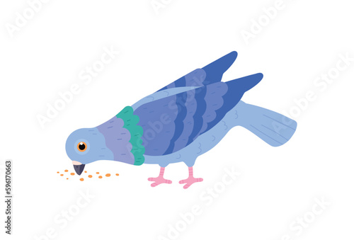 Cute blue pigeon pecking crumbs flat style, vector illustration