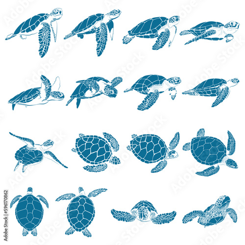  graphic sea turtle,vector illustration of sea turtle,vector of turtle design on a white background,save a turtle.