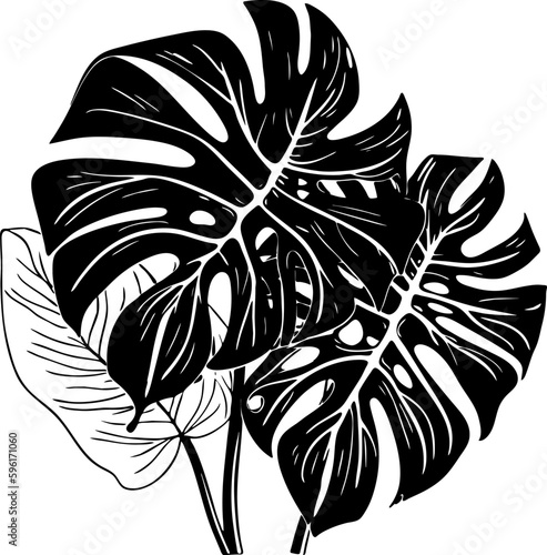 Tropical leaves, black silhouette. Palm leaves. Vector illustration on white isolated background. Summer concept. Good for packaging, logo, and decor.