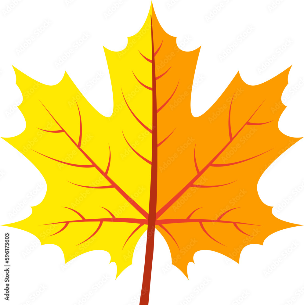 Fototapeta premium Maple leaf