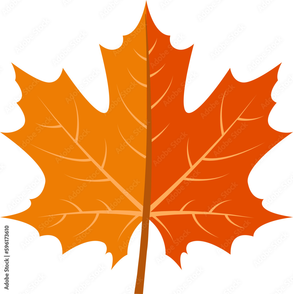 Fototapeta premium Maple leaf