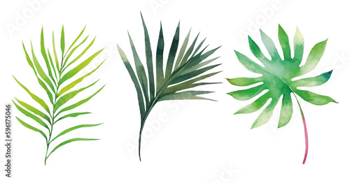 Fototapeta Naklejka Na Ścianę i Meble -  Vector tropical exotic leaves, watercolor jungle leaves isolated