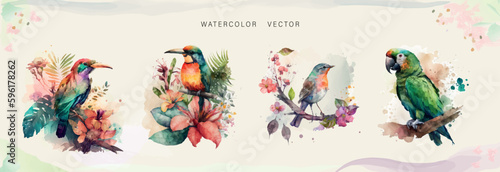 Abstract watercolor vector set. Beautiful tropical birds for your design.. 
 Luxury cover design with text, floral theme and brush style.
  floral art for  websites and prints, Invitation postcard.