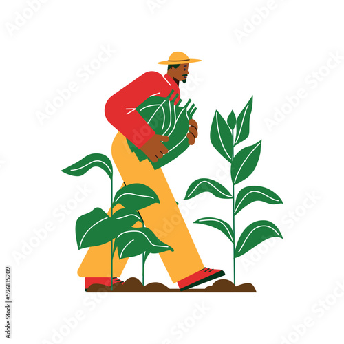 Farmer harvesting tobacco leaves, flat vector illustration isolated on white background.
