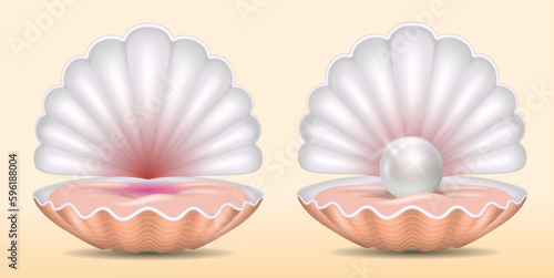 set of realistic beautiful opened shell with pearl or opened sea shell with soft mollusk. eps vector