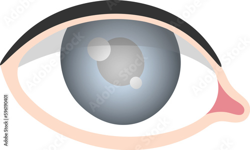 Glaucoma Eye Disease