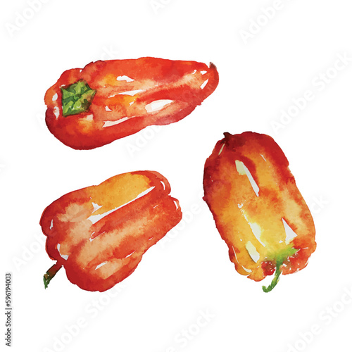 red peppers watercolor hand drawn isolated on white, vector