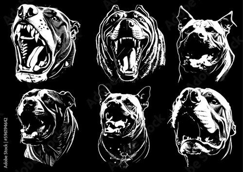 Dog Angry pitbull mascot head Vector illustration