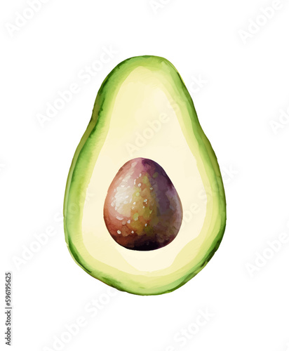 Digital Watercolor vector hand drawn illustration with fresh green avocado on the white background