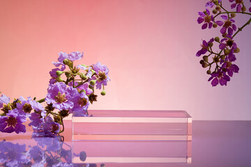 A glass transparent podium in rectangle shape for product advertising stage background platform or empty luxury pedestal exhibition scene. Gradient background