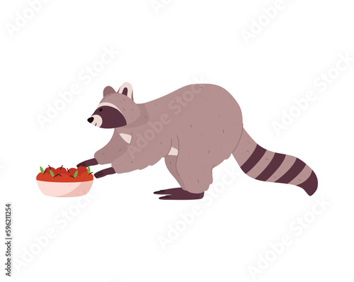 Cute funny raccoon reaches for plate of apples side view flat style