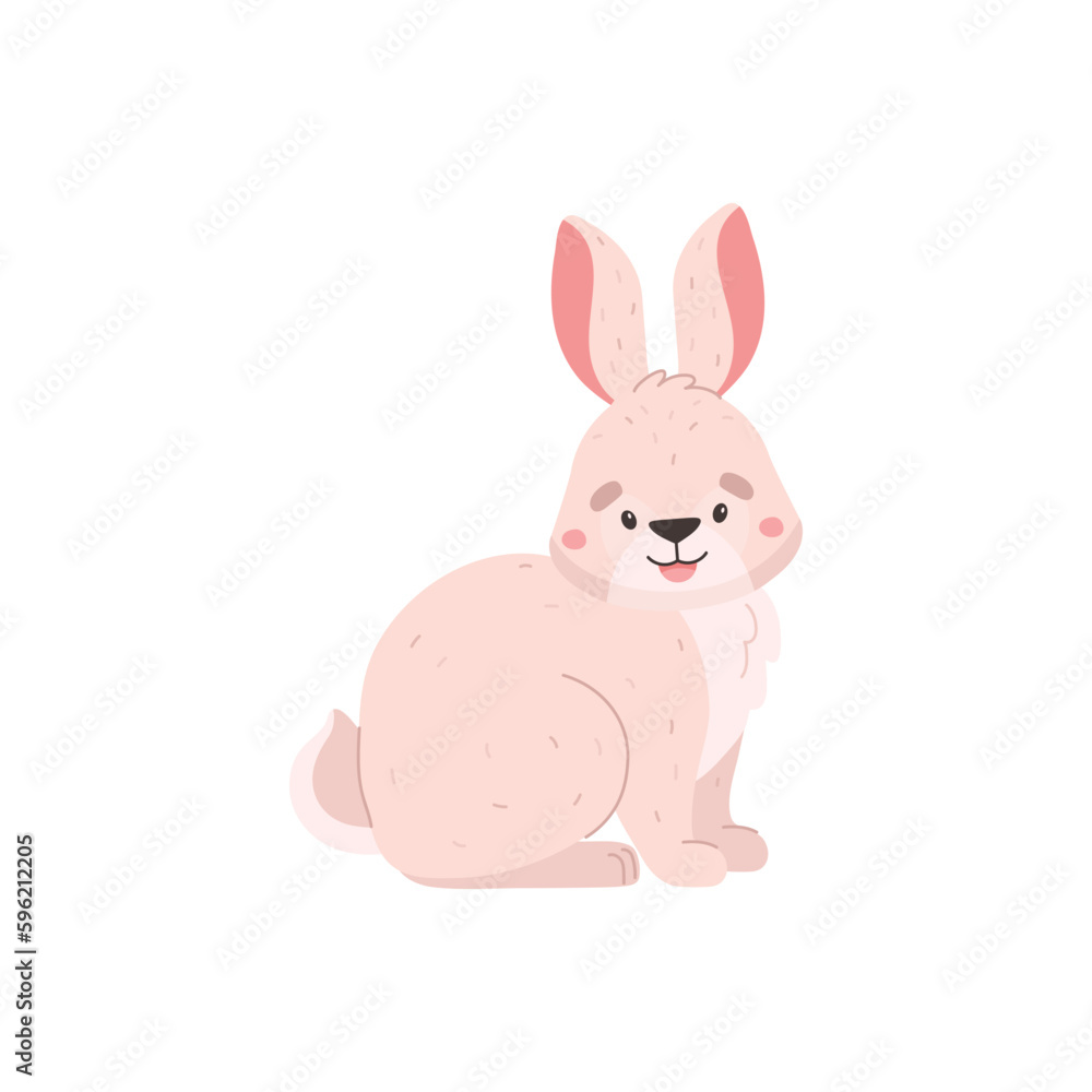 Rabbit or hare character sitting on paws, flat vector illustration isolated. Rabbit or hare character sitting on paws, flat vector illustration isolated.