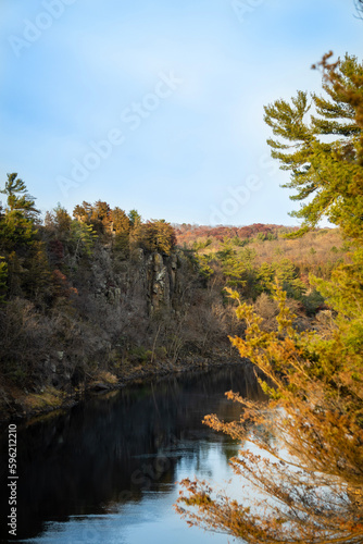 autumn in the forest