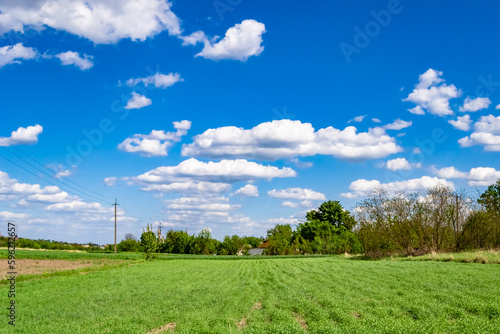 Photography on theme big empty farm field for organic harvest