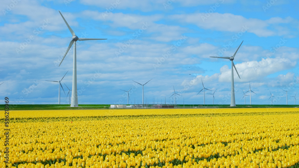 windmill park with a blue sky and green agricultural field, windmill park in the ocean windmill park with a blue sky and green agricultural field, windmill park in the ocean