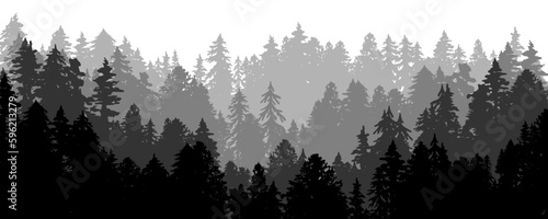 Wild deep forest silhouette. Layered vector illustration. Foggy hill landscape