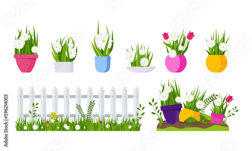 Spring garden. Flower bed, seedlings at the fence.