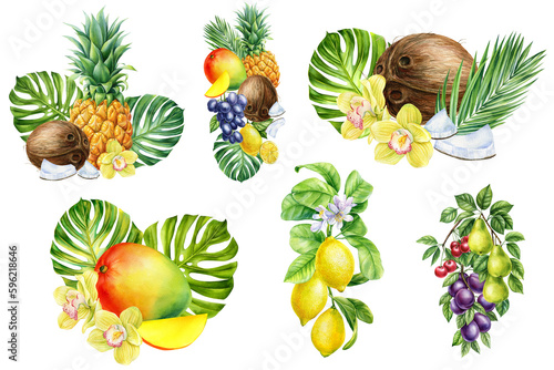 Tropical fruits on isolated white background, watercolor pineapple, mango, coconut and grape. Summer set elements