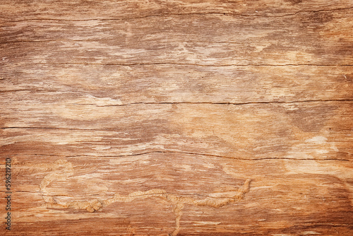 plank wooden wall texture background