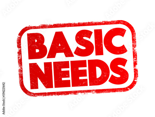Basic needs - one of the major approaches to the measurement of absolute poverty in developing countries, text concept stamp