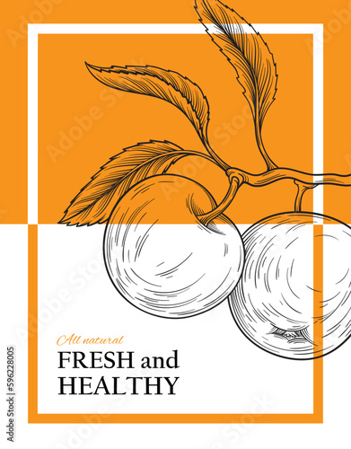 Poster with line apple. Hand drawn sketch of fresh, natural and organic product. Fruits on tree branch with leaf. Booklet, banner or cover design. Linear flat vector illustration