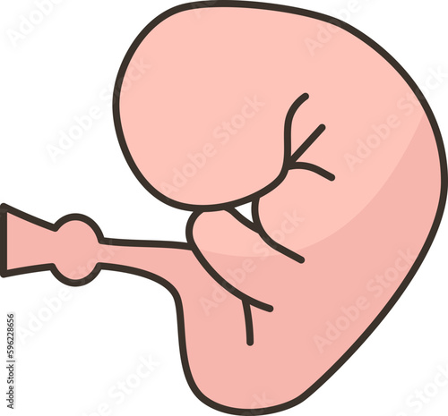 embryo  icon
