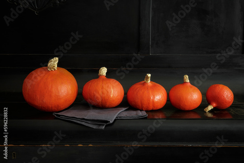 Studio shot of pumpkins ordered from biggest to smallest photo