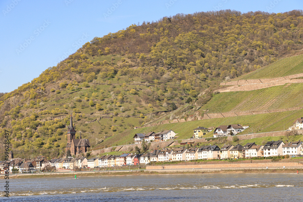 Frühling am Mittelrhein; Blick über den Fluss auf Lorchhausen mit St. Bonitatius