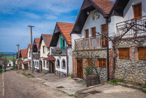 Sidleny Wine Cellars in Czech Republic photo