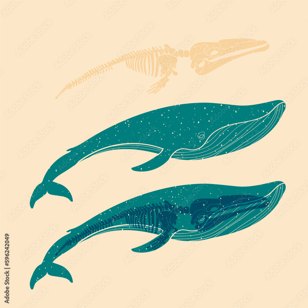 Fototapeta premium Whale. Colorful cute screen printing effect. Riso print effect. Vector illustration. Graphic element for fabric, textile, clothing, wrapping paper, wallpaper, poster.