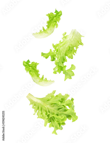 Fresh salad green lettuce leaves falling in the air isolated on transparent background. PNG
