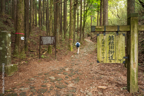 箱根旧街道のイメージ