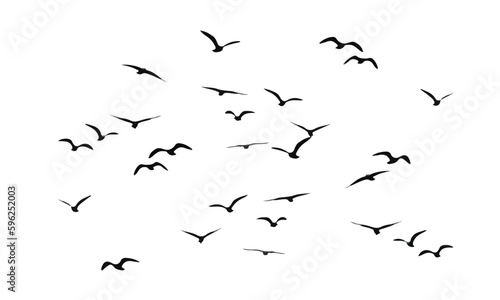 migrating birds black minimalist design
