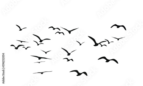 nature inspired bird silhouette set photo