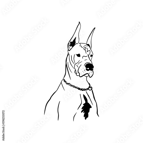 Vector sketch hand drawn Great Dane silhouette, line art