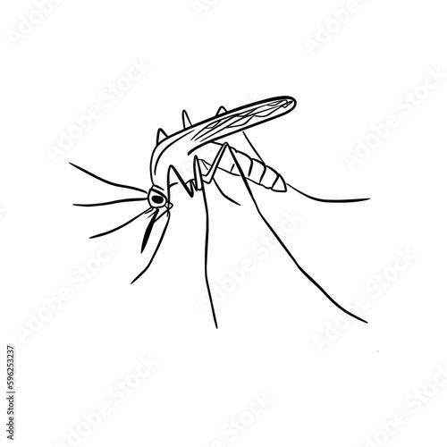 Vector sketch hand drawn mosquito silhouette, line art