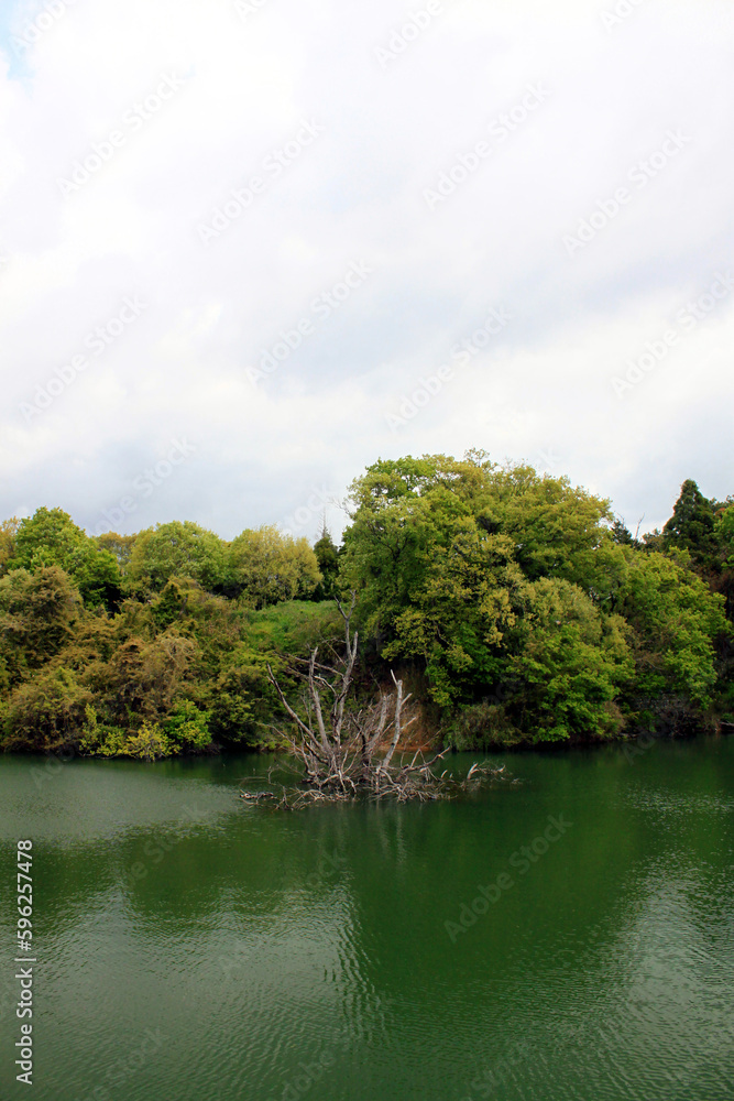 静かな水面
