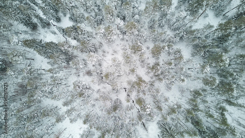 Snow Landscape