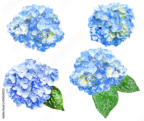 あじさいの水彩画風イラストセット