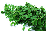 Moringa leaves (Moringa oleifera) isolated on white background. Flat lay, top view, super food, vitamin.