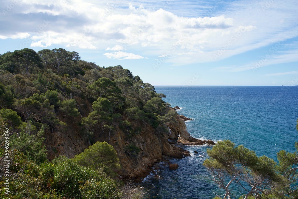 panorama of pine trees and the Mediterranean Sea in the south of France