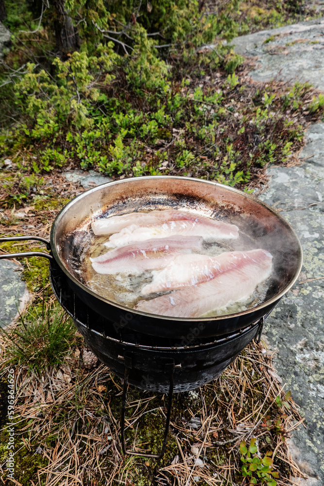Freshly caught fish in frying pan on lakeshore Freshly caught fish in frying pan on lakeshore