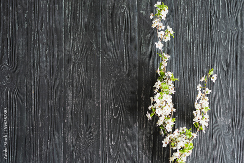 Old wooden shabby background with branches of blooming spring flowers. Springtime