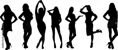 "The Art of Pose: Illustration Set of Women in Different Positions" "Silhouette Collection of Females: Girls and Women in Various Poses" "Beauty in Motion: A Set of Silhouettes in Different Positions"