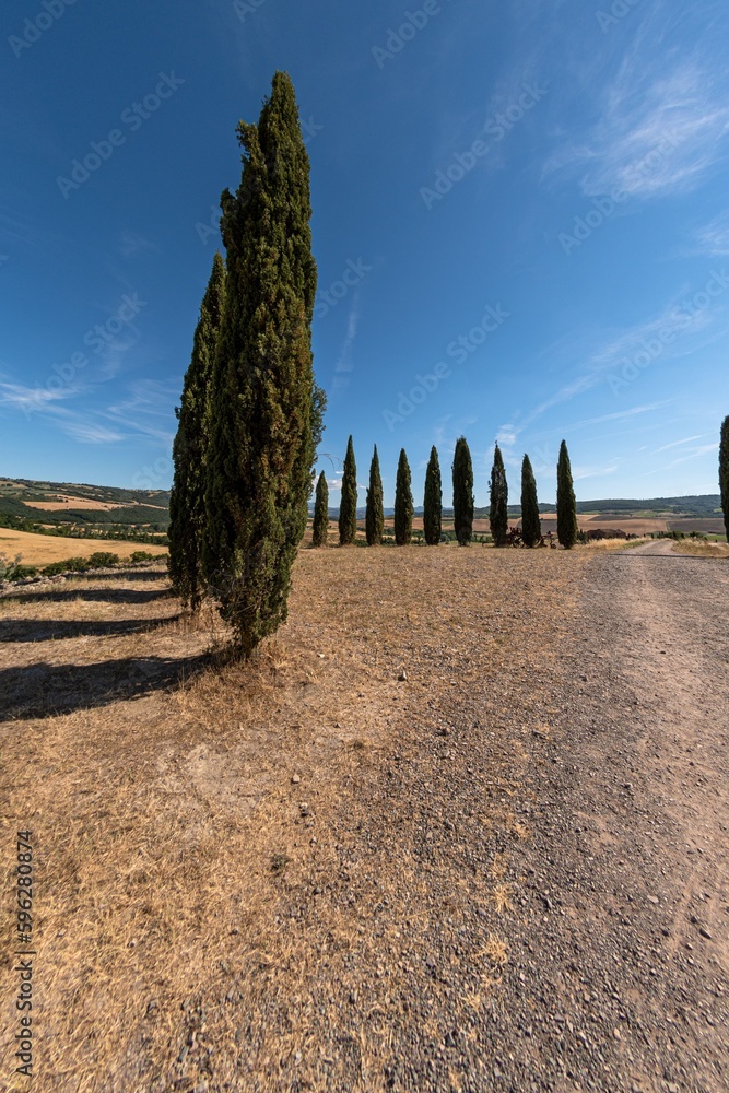 Tuscan landscape with road and cypresses