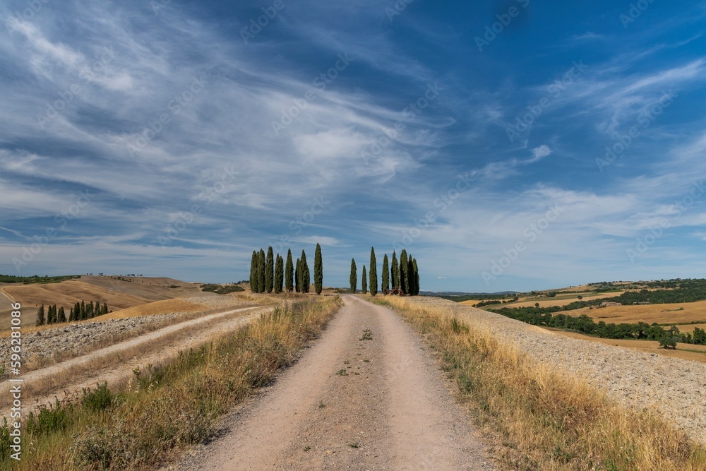 Tuscan landscape with road and cypresses