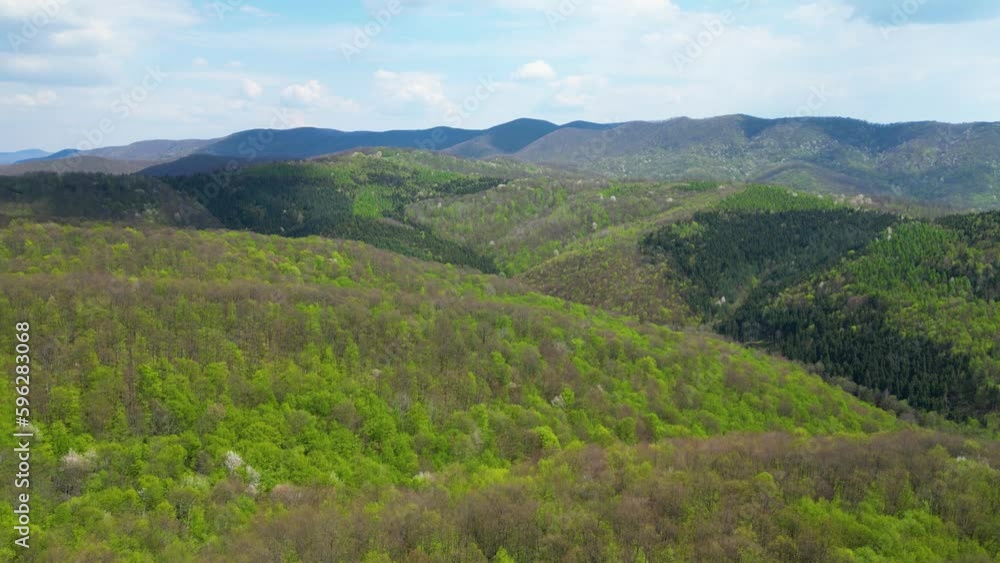 Drone flight over forest in vicinity of Apuseni Mountains, Romania. Drone flight over forest in vicinity of Apuseni Mountains, Romania.